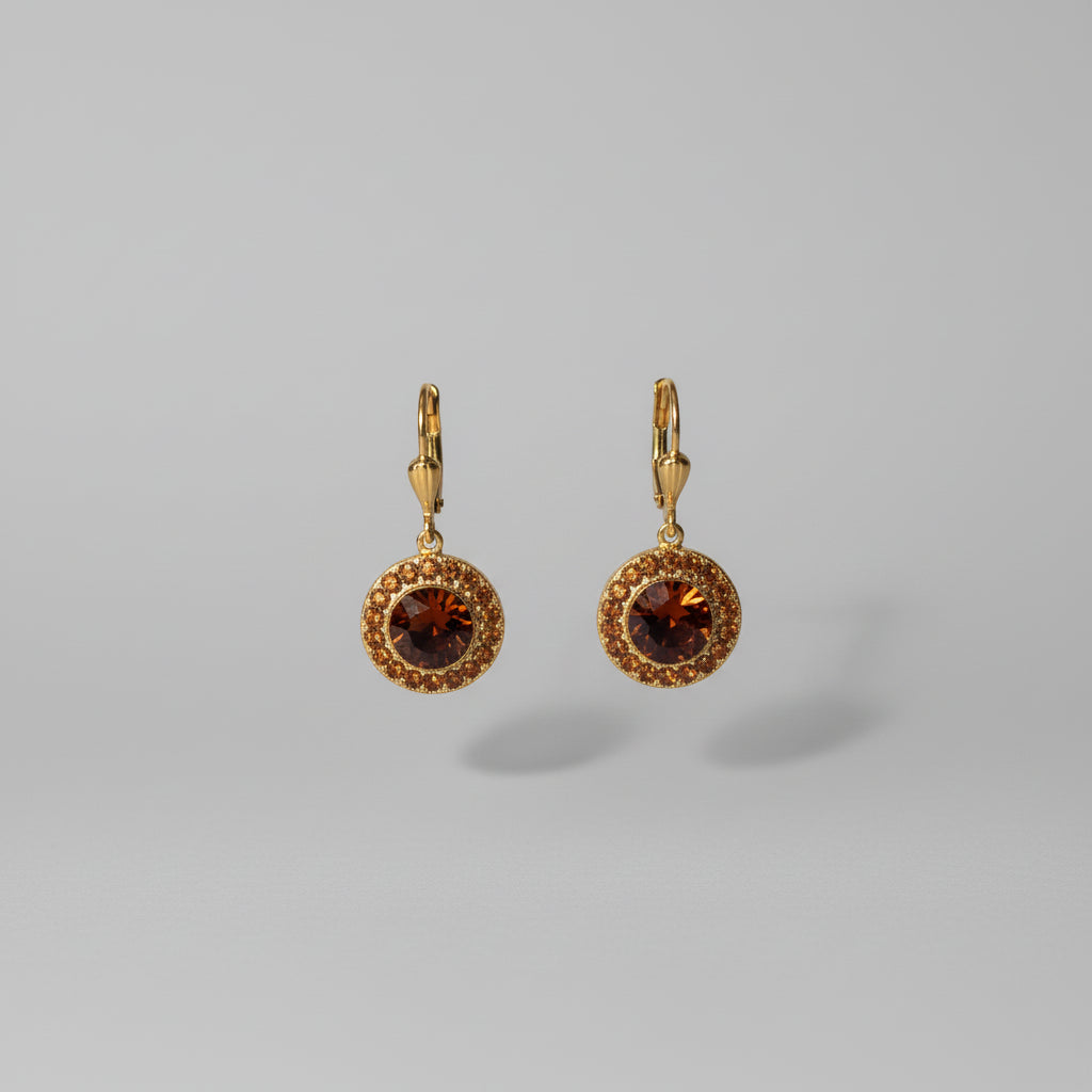 Round Crystal With Surrounding Mini Crystals Earrings