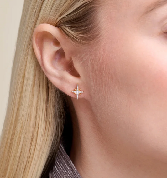 Cardinal Points Stud Earrings ~ Monte Luna