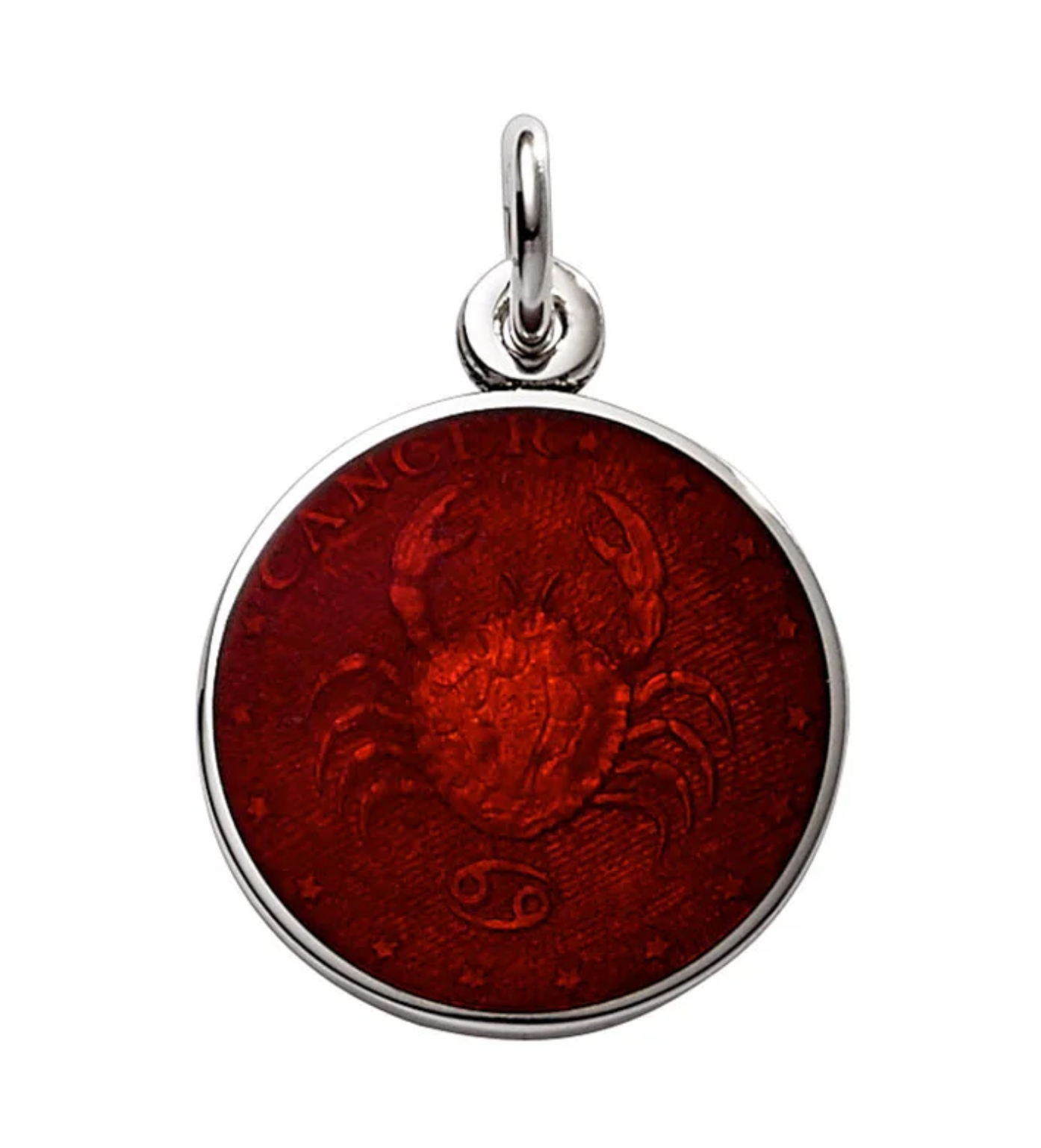 Zodiac Enamel Metal - Nickel Size