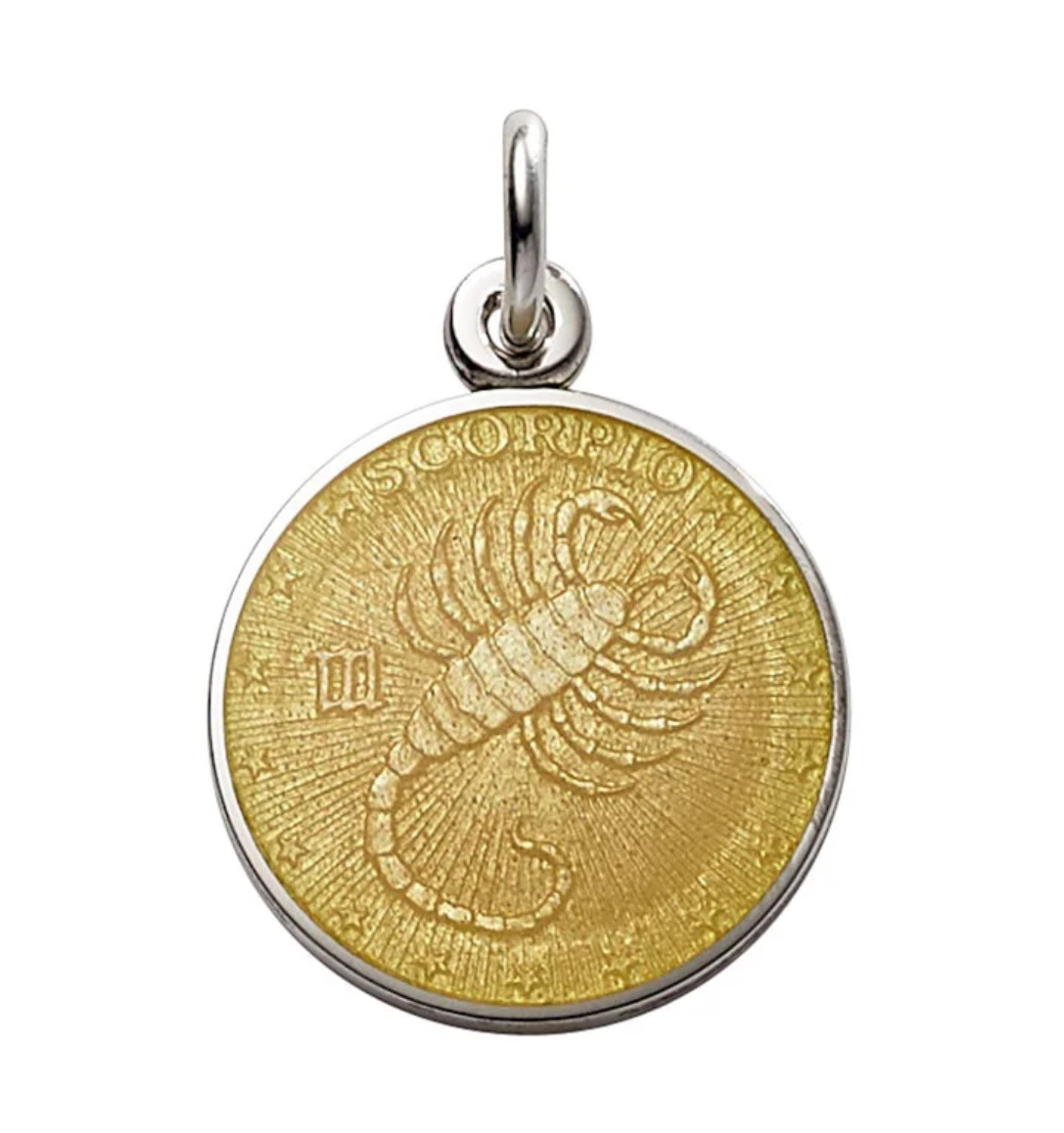 Zodiac Enamel Metal - Nickel Size