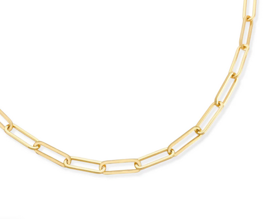 Paperclip Necklace